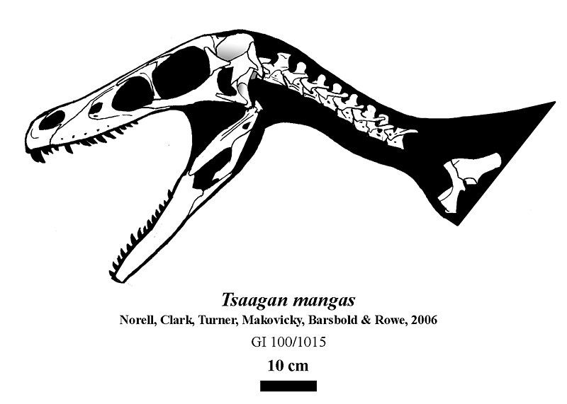 File:Tsaagan mangas.jpg