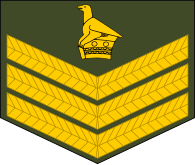 File:Zimbabwe-Army-OR-7.svg