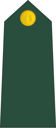 File:00-Slovenian Army-PVT.svg