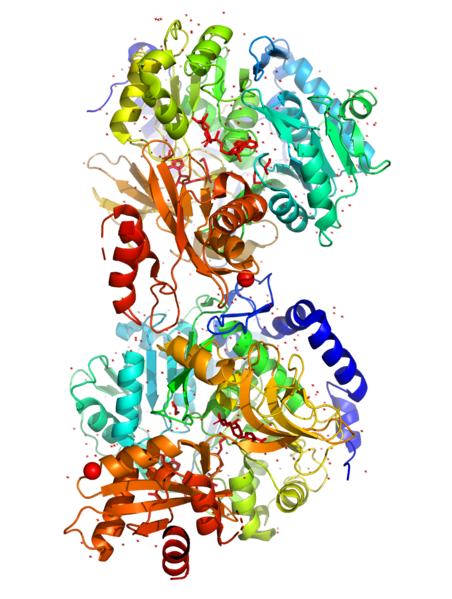 File:ACS whole structure.png