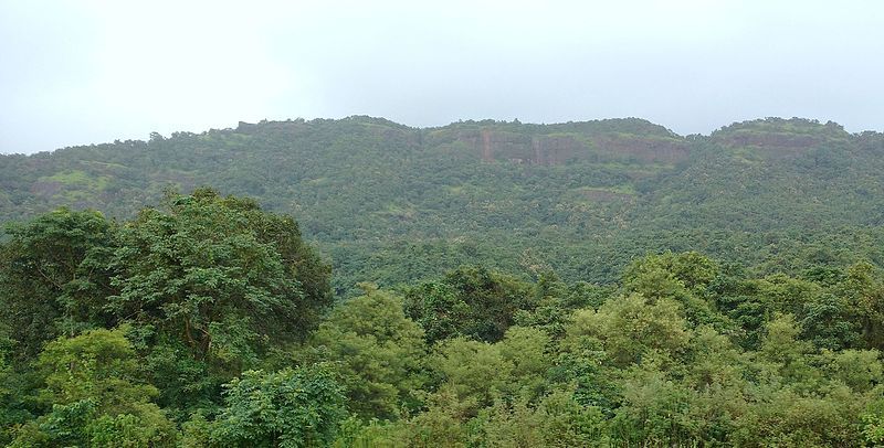 File:Avchitgad6.jpg