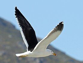 Hout Bay, South Africa