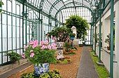 Interior of the Embarcadère Greenhouse