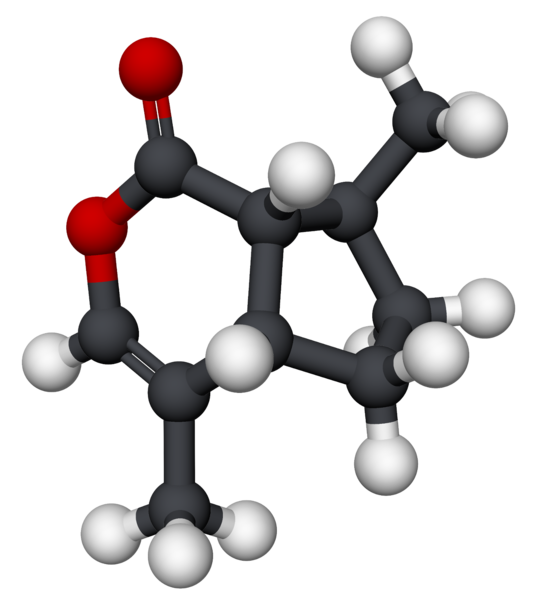 File:Nepetalactone-3D.png