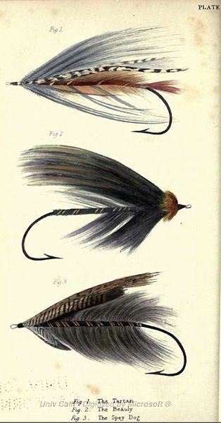 File:Plate XI-Francis-Salmon Flies.JPG