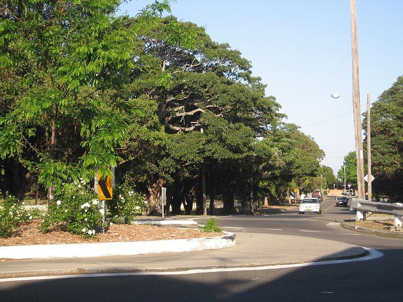 File:Ryde Road, Gladesville.jpg