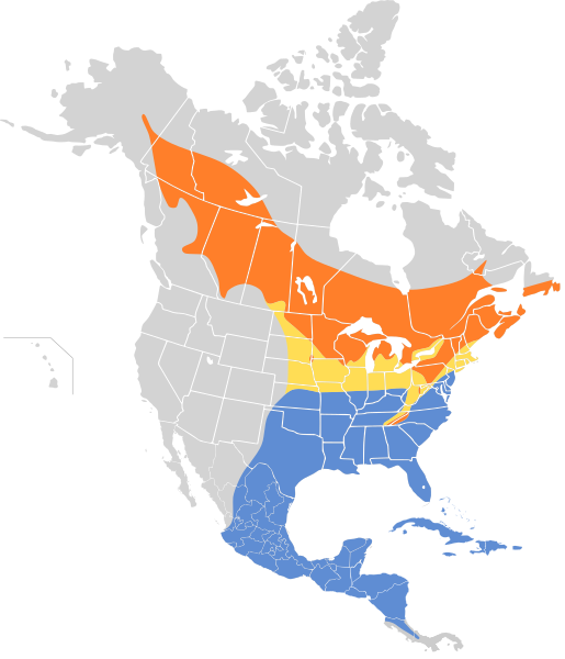 File:Sphyrapicus varius map.svg