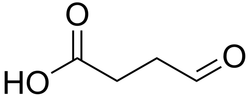 File:Succinic semialdehyde.png