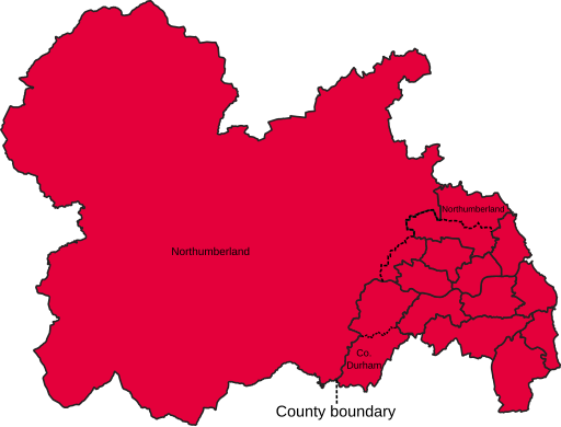 File:TyneWearParliamentaryConstituency2024Results.svg