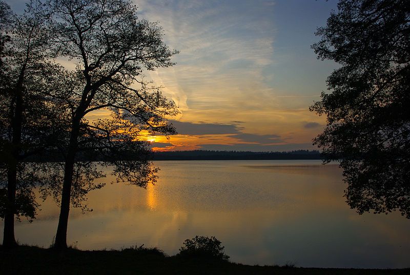 File:Uljaste järv 06.jpg