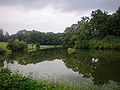 Pond near the castle