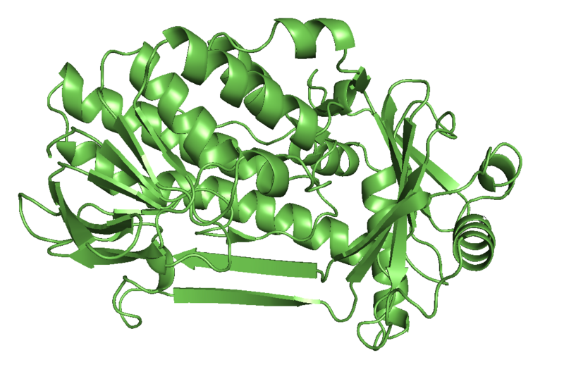 File:4-hydroxybenzoate 3-monooxygenase.png