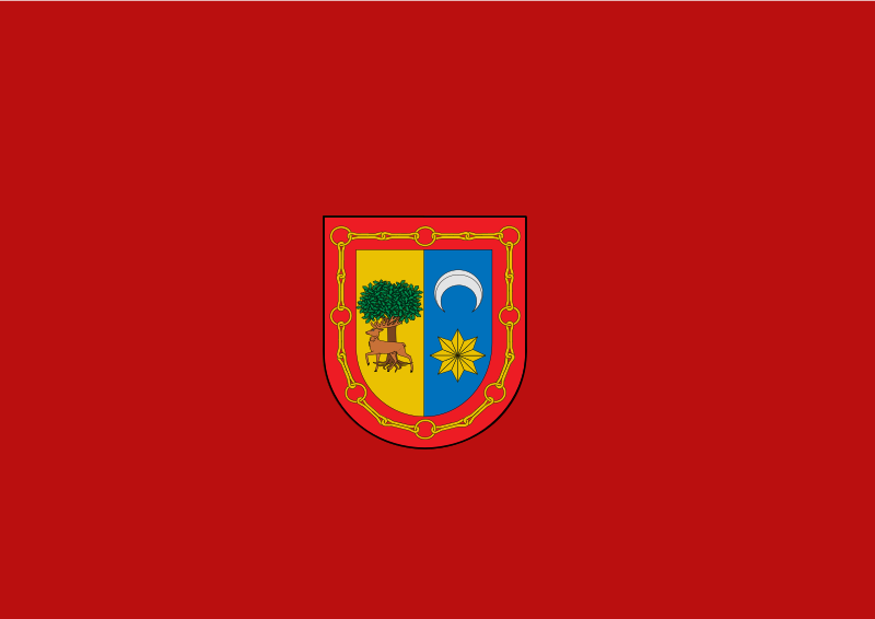 File:Bandera de Burguete.svg