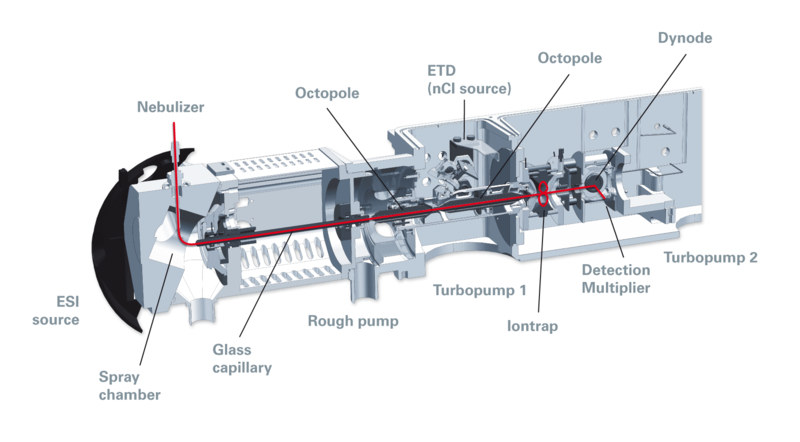 File:Bruker HCT-schematicJune2008.PNG