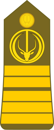 File:Chad-Army-OF-5.svg