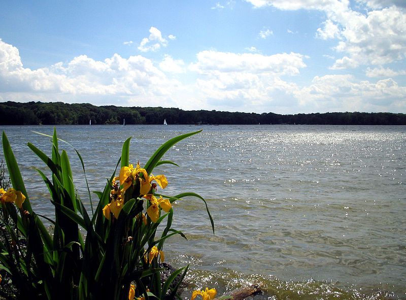 File:Cowan lake-kmf.JPG