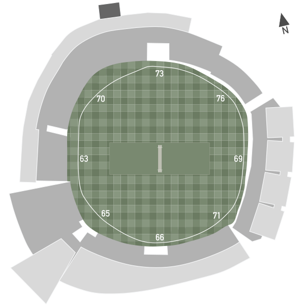 File:EdgbastonCricketGroundPitchDimensions.svg