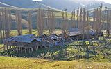 Shearing sheds