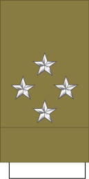 File:France-Army-OF-8 Sleeve WW2.svg