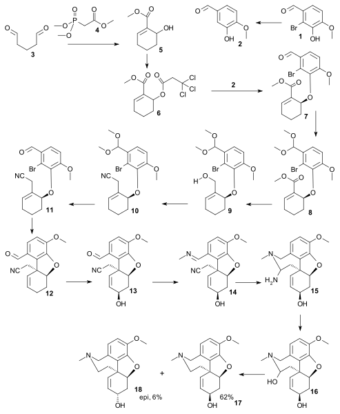 File:Galanthamine Trost 2005.svg