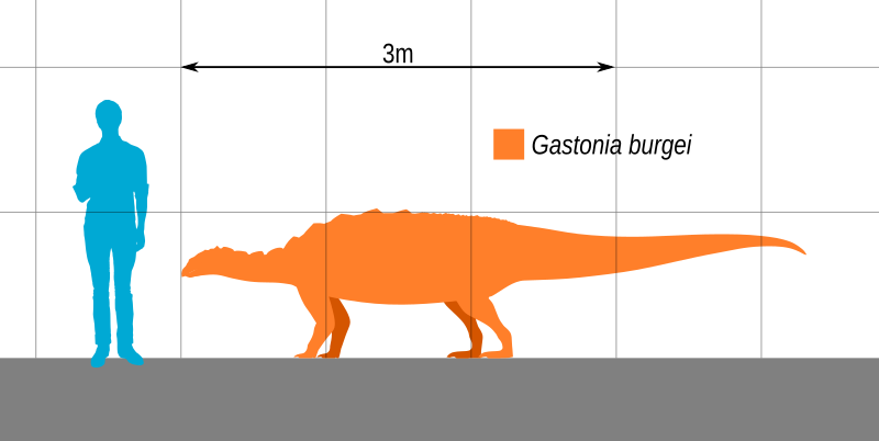 File:Gastonia Scale.svg