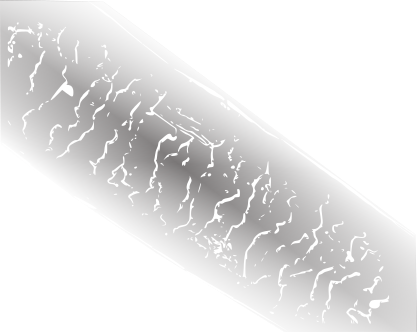 File:Human hair SEM.svg