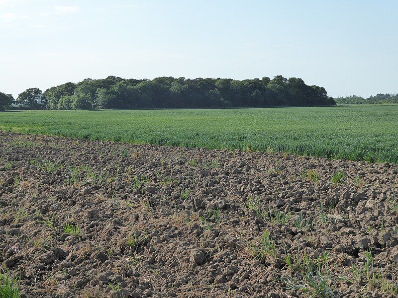 File:Islington Heronry 1.jpg