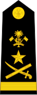 File:Maldives Army OF-9.svg