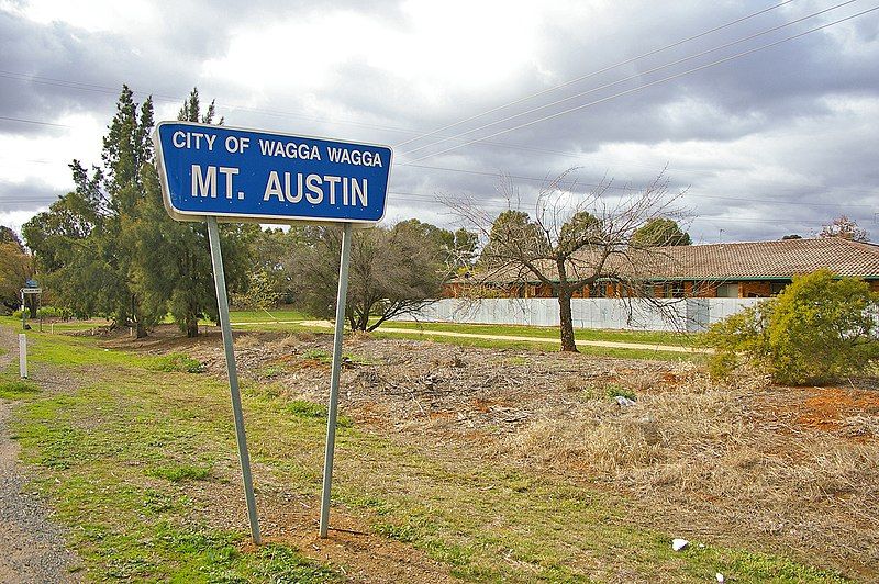 File:Mount Austin NSW.jpg