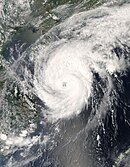 Typhoon Neoguri on April 17