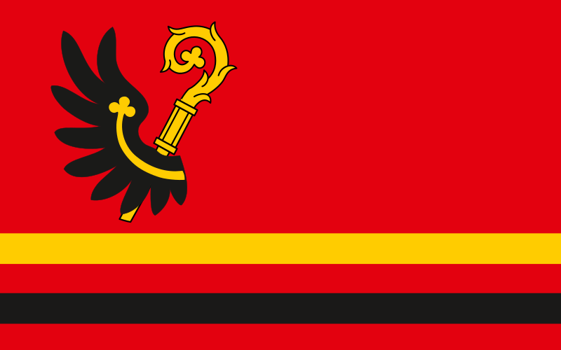 File:POL Wąbrzeźno flag.svg