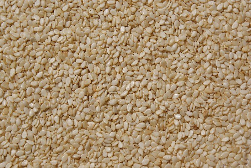 File:Sesame seeds.JPG