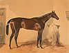 1848 Derby winner Surplice. Etching by Charles Hunt after a painting by Harry Hall.