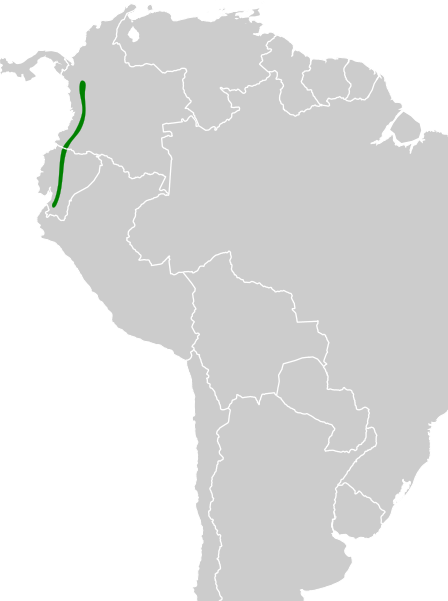 File:Thripadectes ignobilis map.svg