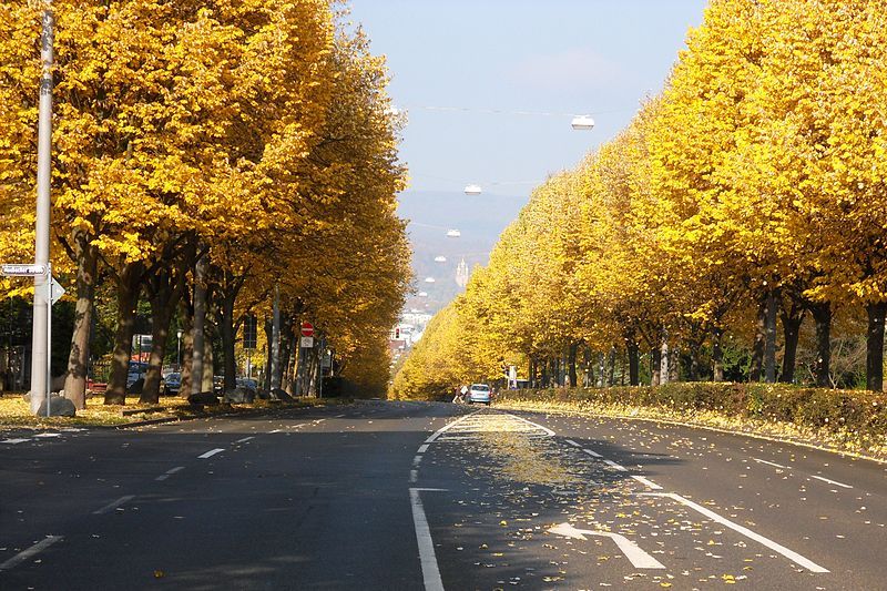 File:WiesbadenBiebricherAlleeNerobergHerbst.JPG