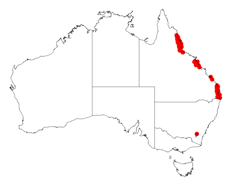 File:Acacia cincinnataDistMap190.png