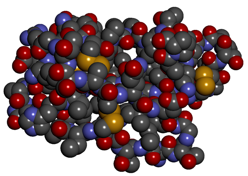 File:Alpha-cobratoxin space fill.png