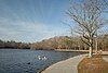 View of Belmont Lake.