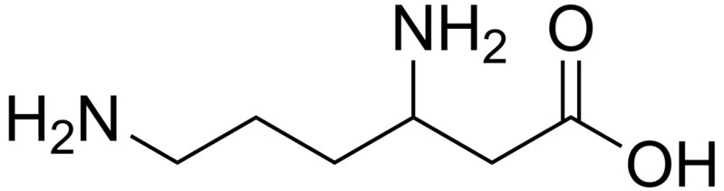 File:Beta-lysine.png