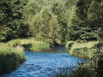 Confluence of the Warme Bode (left) and Kalte (right) Bode near Königshütte