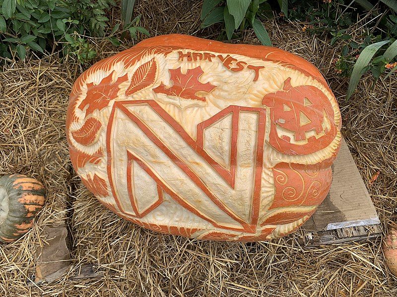 File:Carved Newfields Pumpkin.jpg