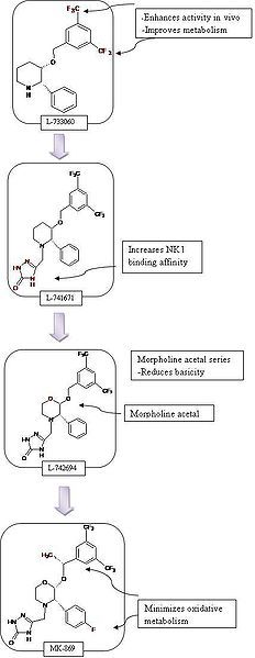 File:Development of MK869.jpg