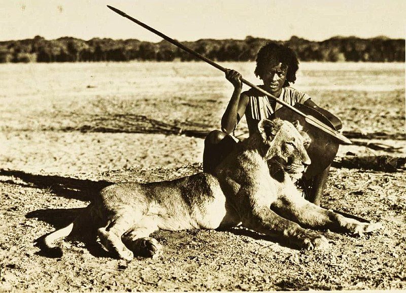 File:Eritrean Lion.jpg