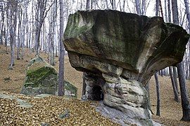 Nature reserve Kamień-Grzyb, Wiśnicz Foothills