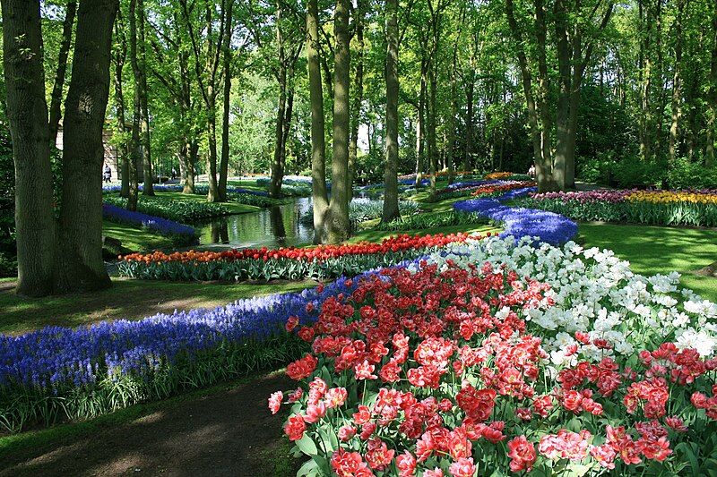 File:Keukenhof 340.JPG