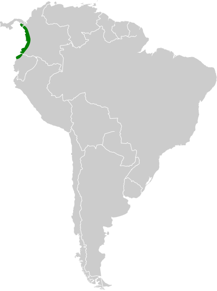 File:Platyrrhinus chocoensis map.svg