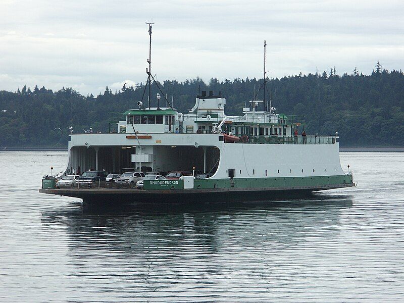 File:RhododendronArriving@Tahlequah.jpg