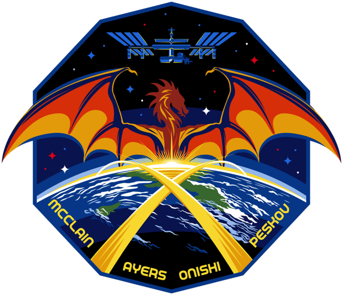 File:SpaceX Crew-10 logo.png