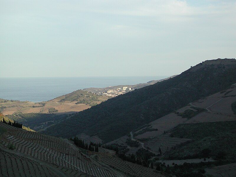 File:Vineyards in Banyuls.jpg