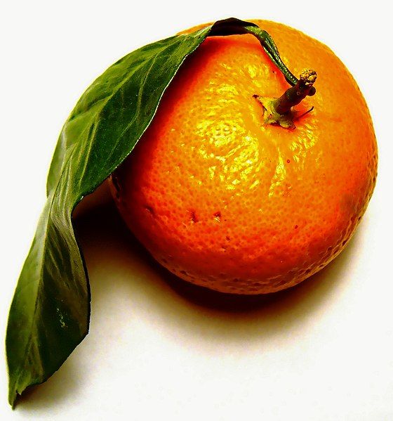 File:Want a tangerine?.jpg